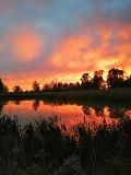 Важность обновления холодильных машин на производстве